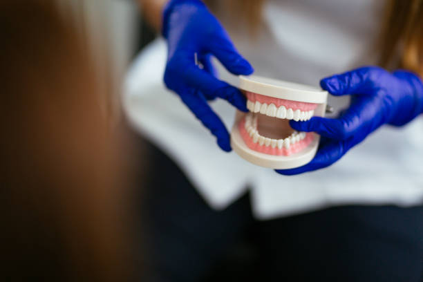 Reliable Sharpsville, PA Holistic Dental Care Services Solutions